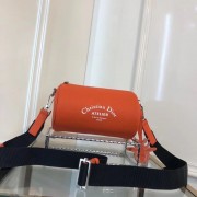 Dior Original GRAINED CALFSKIN ROLLER POUCH WITH ATELIER PRINT 1ATPO061 orange HV05148Gh26