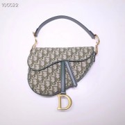 Dior SADDLE BAG CANVAS M0446 green HV11862UE80