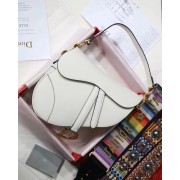 Fake Dior SADDLE-TAS VAN KALFSLEER M0446CW offwhite HV10720EQ38