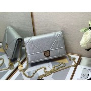 High Quality DIORAMA CALFSKIN CLUTCH M49P silver HV00981BH97