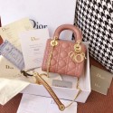 Designer MINI LADY DIOR-TAS VAN ROZE LAMSLEER M398 HV10419vs94