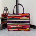 DIOR BOOK TOTE Multicolor D-Stripes Embroidery M1287Z HV10059hT91