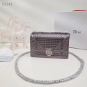 Dior DIORAMA leather Chain bag S0328 Silver grey HV00100HW50