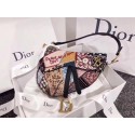 Dior GEBORDUURDE SADDLE-TAS M0446VRNE HV05260rd58