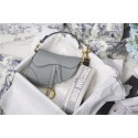 DIOR GRAY STONE SADDLE GRAIN CALFSKIN BAG M0446C HV02127hI90