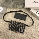 DIOR Oblique Belt Bag D26988 HV04473zS17