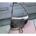 Dior SADDLE Snake skin tote C9046 silver HV01415pB23