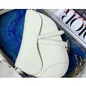 Dior SADDLE-TAS VAN KALFSLEER M0446C white HV02599hc46