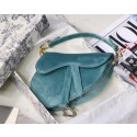 Fake Dior MINI SADDLE BAG M447S Velvet green HV01685pE71