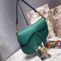 Fake Dior SADDLE-TAS VAN KALFSLEER M0446C green HV11698Hj78