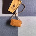 Goyard Calfskin Leather Shoulder Bag 6788 Yellow HV00933KX22