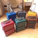 Goyard Original Luggage G44009 HV06996Lo54