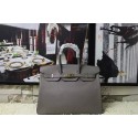 Hermes Birkin H35 new model lizards gray gold(silver) HV03796EC68