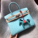 Hermes Real ostrich leather birkin bag BK35 sky blue HV09345JD63