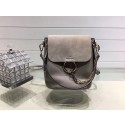 Knockoff Chloe Faye original suede leather Backpack C4756 grey HV11191yK94