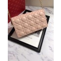 LADY DIOR-CLUTCH VAN LAMSLEER S0204 pink HV03974Sy67