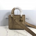 LADY DIOR TOTE BAG IN EMBROIDERED CANVAS C4532 apricot HV08954FA31