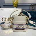 Luxury Chloe Roy Mini Smooth Leather Bucket Bag 3S508 White HV10973kp43