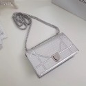 Replica Designer Dior DIORAMA leather Chain bag S0328 silver HV03275Bb80