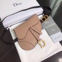 Replica Dior SADDLE-CLUTCH VAN KALFSLEER S5632C pink HV05483Jw87