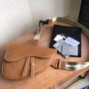 Top DIOR OBLIQUE SADDLE BELT BAG M9020 brown HV03306lE56