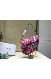 Dior GEBORDUURDE SADDLE-TAS AD0158 Phoenix HV09998Xp72