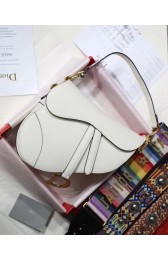 Fake Dior SADDLE-TAS VAN KALFSLEER M0446CW offwhite HV10720EQ38